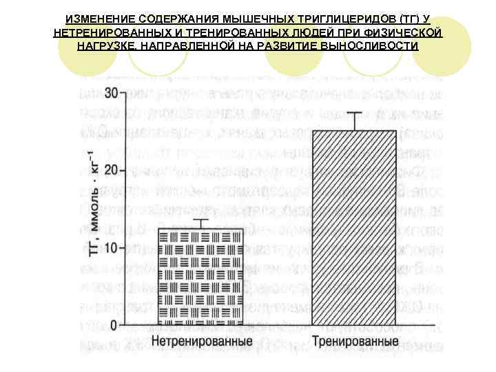  ИЗМЕНЕНИЕ СОДЕРЖАНИЯ МЫШЕЧНЫХ ТРИГЛИЦЕРИДОВ (ТГ) У НЕТРЕНИРОВАННЫХ И ТРЕНИРОВАННЫХ ЛЮДЕЙ ПРИ ФИЗИЧЕСКОЙ НАГРУЗКЕ,