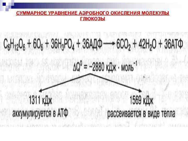 Обеспечивает аэробное окисление углеводов