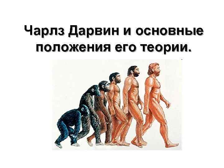 Чарлз Дарвин и основные положения его теории. 