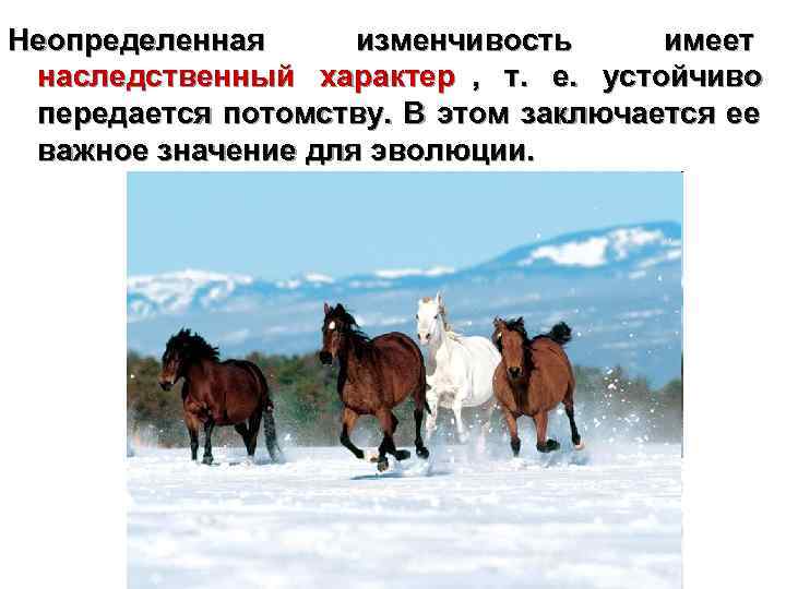Неопределенная изменчивость имеет наследственный характер , т. е. устойчиво передается потомству. В этом заключается