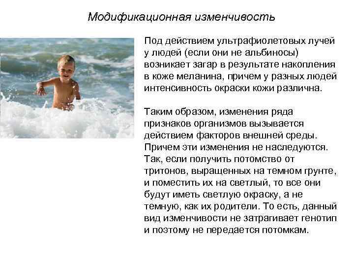 Модификационная изменчивость   Под действием ультрафиолетовых лучей   у людей (если они