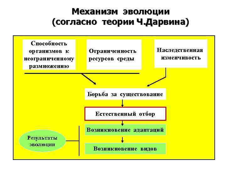 Оформите схему логическая структура дарвинизма живые организмы характеризуются жизненные ресурсы