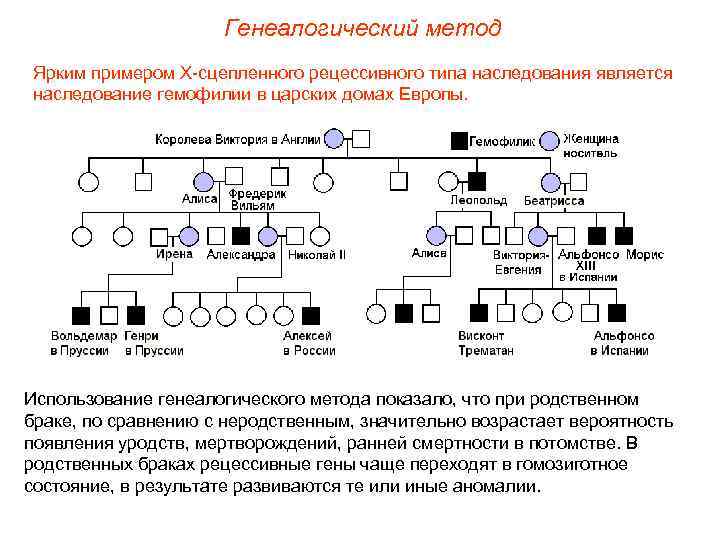      Генеалогический метод Ярким примером Х-сцепленного рецессивного типа наследования является
