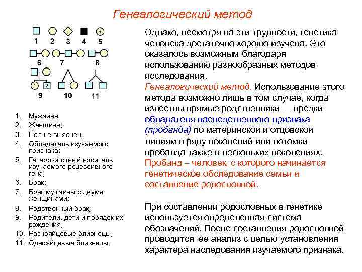       Генеалогический метод      Однако,