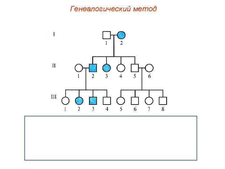 Генеалогический метод 
