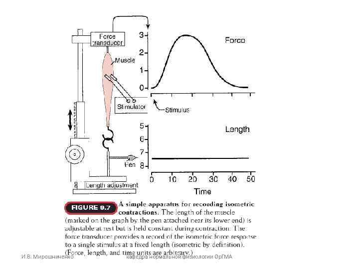 И. В. Мирошниченко кафедра нормальной физиологии Ор. ГМА И. В. Мирошниченко кафедра нормальной физиологии Ор. ГМА