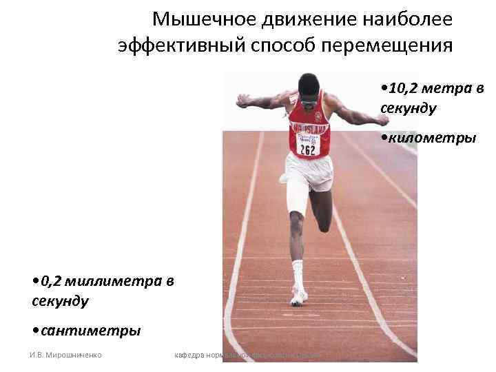 Мышечное движение наиболее эффективный способ перемещения Мышечное движение наиболее эффективный способ перемещения