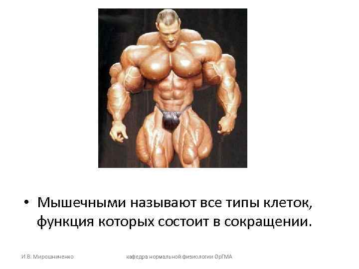 • Мышечными называют все типы клеток, функция которых состоит в сокращении. • Мышечными называют все типы клеток, функция которых состоит в сокращении.