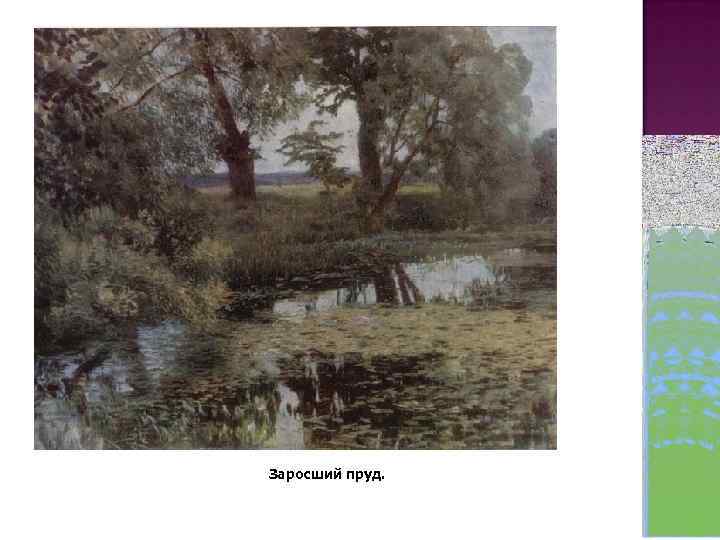 Заросший пруд. 