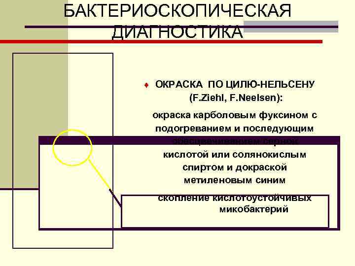 БАКТЕРИОСКОПИЧЕСКАЯ ДИАГНОСТИКА  ¨ ОКРАСКА ПО ЦИЛЮ-НЕЛЬСЕНУ    (F. Ziehl, F. Neelsen):