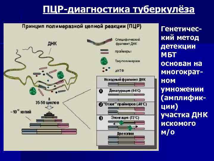 Тест на микобактерию. Полимеразная цепная реакция на туберкулез. Анализ микобактерии туберкулеза ПЦР. Исследование методом полимеразной цепной реакции ПЦР. Метод ДНК-полимеразной цепной реакции диагностике туберкулеза.