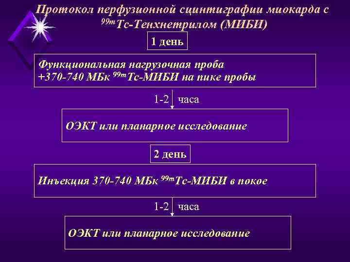 Протокол перфузионной сцинтиграфии миокарда с  99 m. Тc-Тенхнетрилом (МИБИ)    