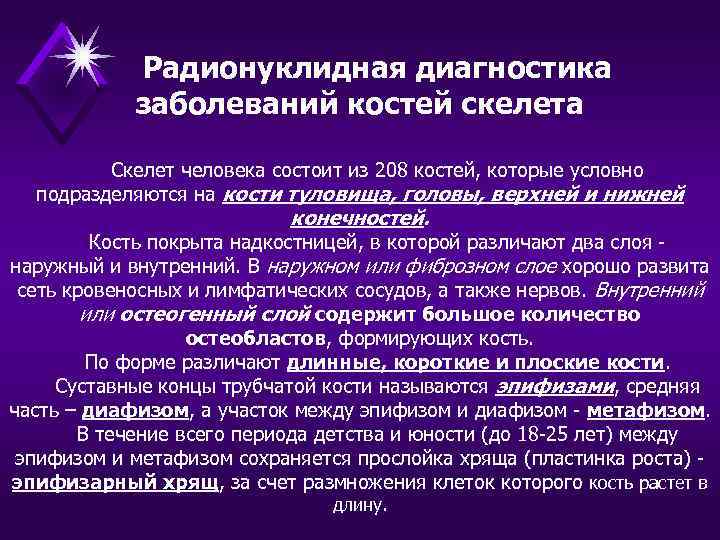   Радионуклидная диагностика   заболеваний костей скелета  Скелет человека состоит из