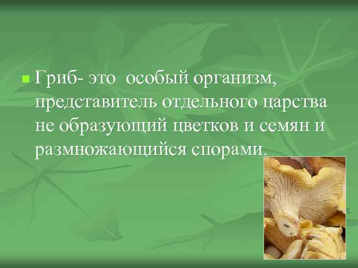 n  Гриб- это особый организм,  представитель отдельного царства не образующий цветков и