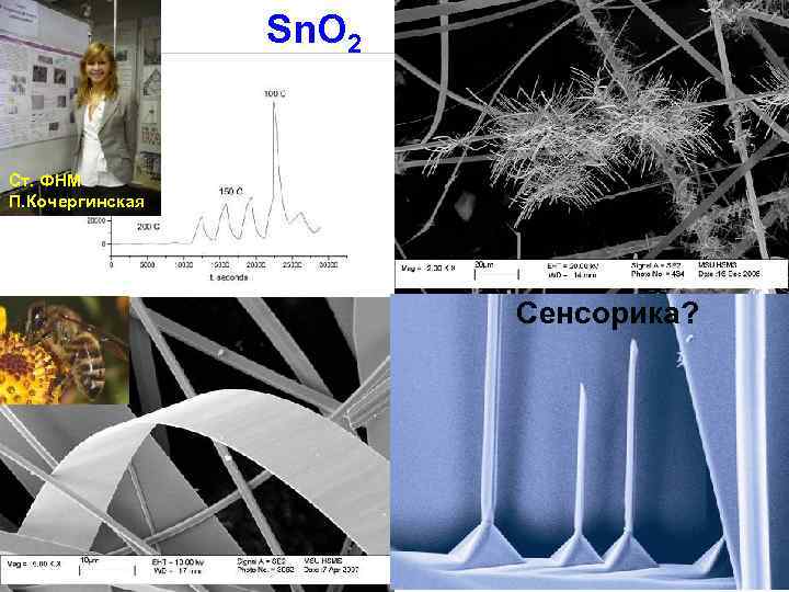    Sn. O 2  Ст. ФНМ П. Кочергинская   
