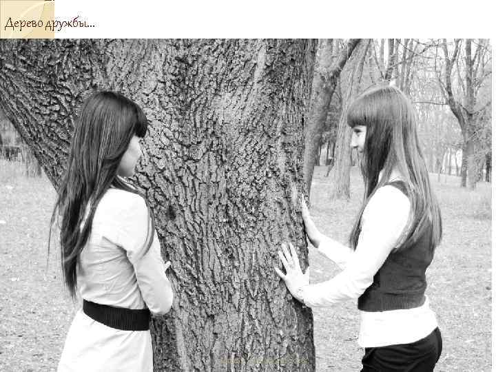 Дерево дружбы. . .     Monday, January 22, 2018 