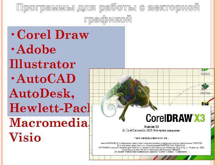  Программы для работы с векторной   графикой • Corel Draw • Adobe