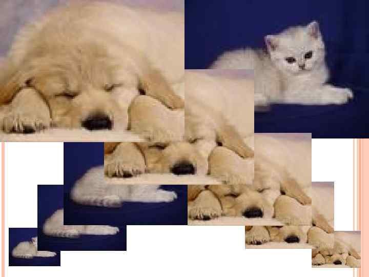 Основной недостаток растровой графики: увеличение изображения приводит к эффекту пикселизации 