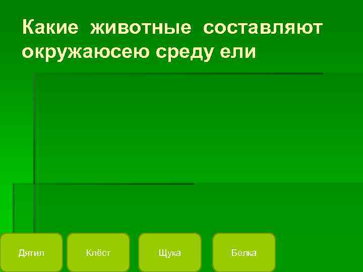 Какие животные составляют окружаюсею среду ели Дятил  Клёст  Щука  Белка 