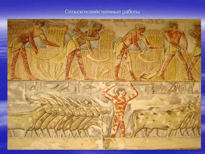 Сельскохозяйственные работы 