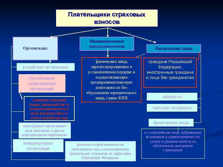      Плательщики страховых      взносов
