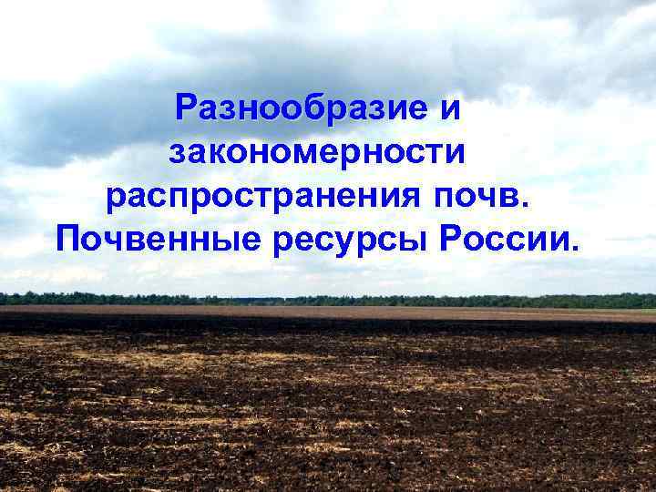 Распространенная почва. Закономерности распространения почв России. Разнообразие и закономерности распространения почв. Закономерность распространения почв на территории России. Закономерность распределения почв на территории России.