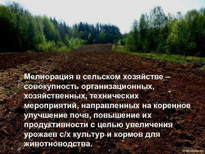 Мелиорация в сельском хозяйстве – совокупность организационных, хозяйственных, технических мероприятий, направленных на коренное улучшение