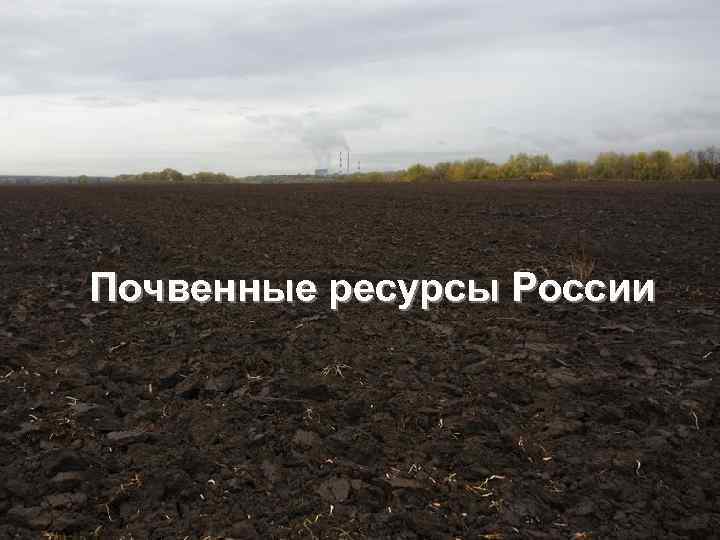 Почвенные ресурсы России 
