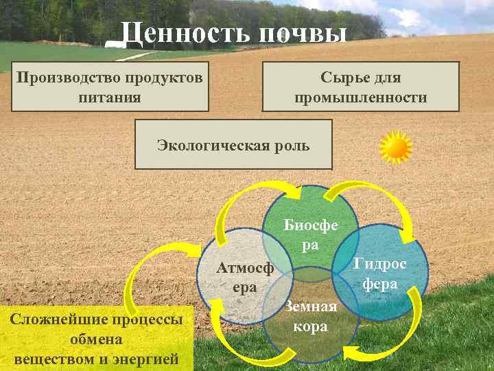   Ценность почвы Производство продуктов    Сырье для  питания 