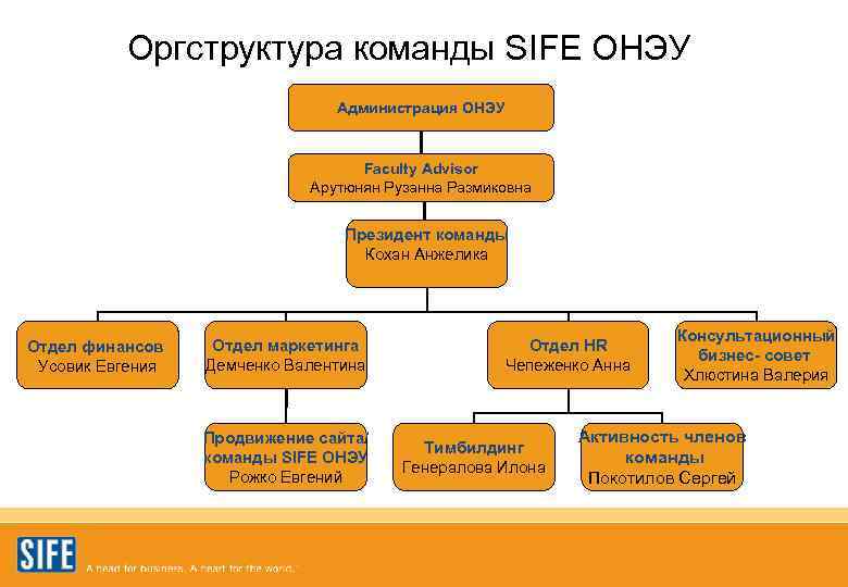    Оргструктура команды SIFE ОНЭУ       Администрация