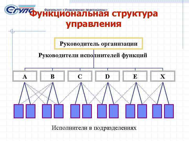   Функциональная структура  Факультет «Управление персоналом»    управления  