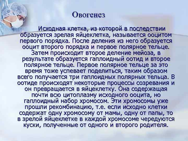    Овогенез  Исходная клетка, из которой в последствии  образуется зрелая
