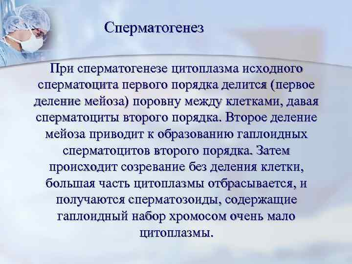   Сперматогенез При сперматогенезе цитоплазма исходного  сперматоцита первого порядка делится (первое деление