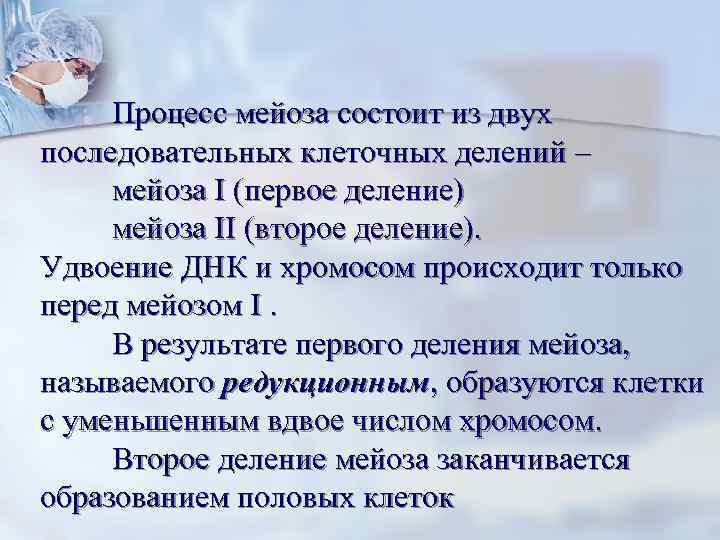  Процесс мейоза состоит из двух последовательных клеточных делений –  мейоза I (первое