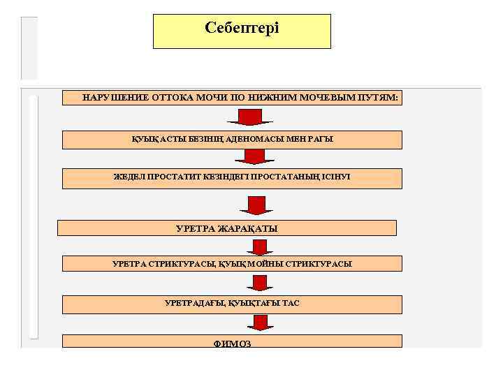     Себептері  НАРУШЕНИЕ ОТТОКА МОЧИ ПО НИЖНИМ МОЧЕВЫМ ПУТЯМ: 