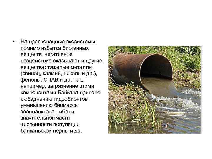  •  На пресноводные экосистемы,  помимо избытка биогенных веществ, негативное воздействие оказывают