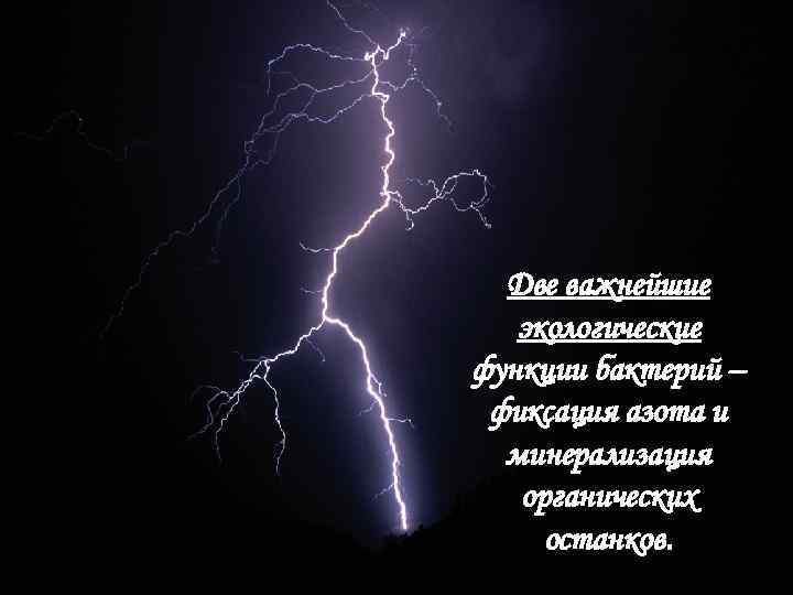 Две важнейшие  экологические функции бактерий – фиксация азота и  минерализация 
