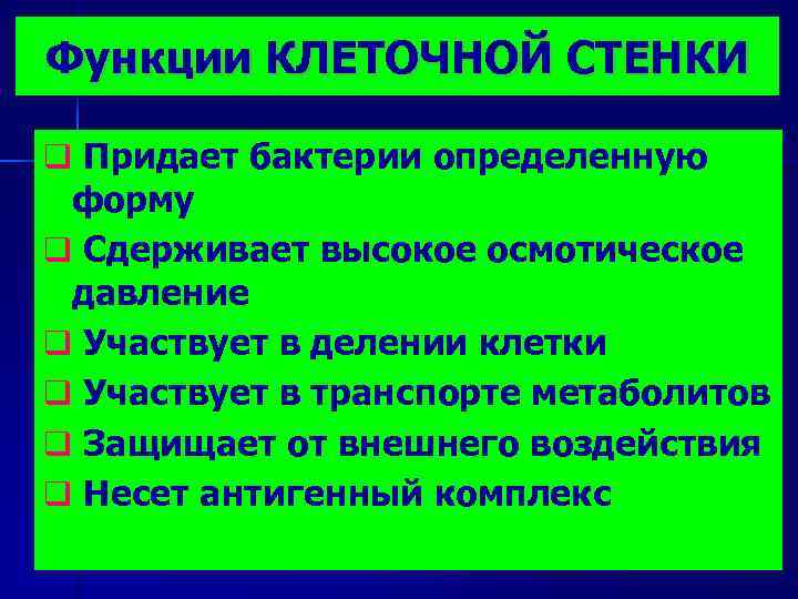 Функции клеточной системы. Функции бактериальной клеточной стенки. Функции клеточной стенки бактерий. Функции клеточной стенки бактериальной клетки. Основная функция клеточной стенки бактерий.