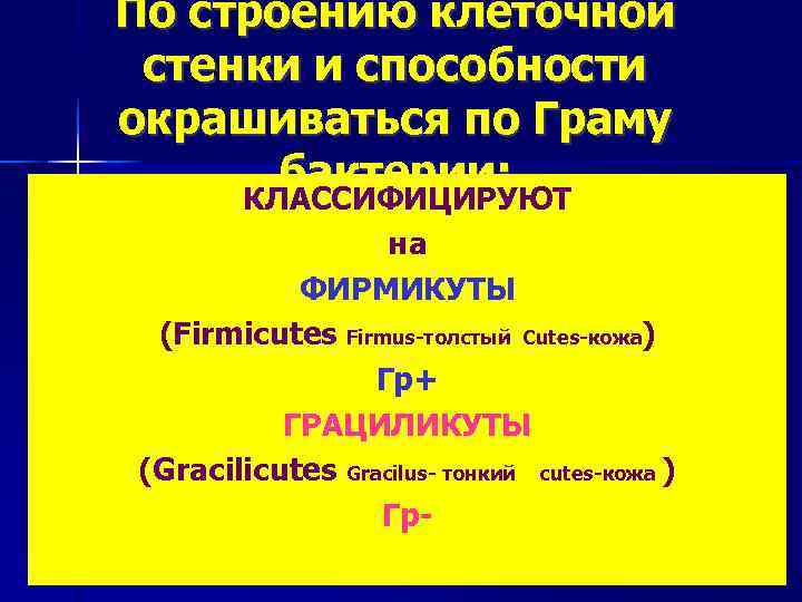 По строению клеточной стенки и способности окрашиваться по Граму  бактерии:  КЛАССИФИЦИРУЮТ 