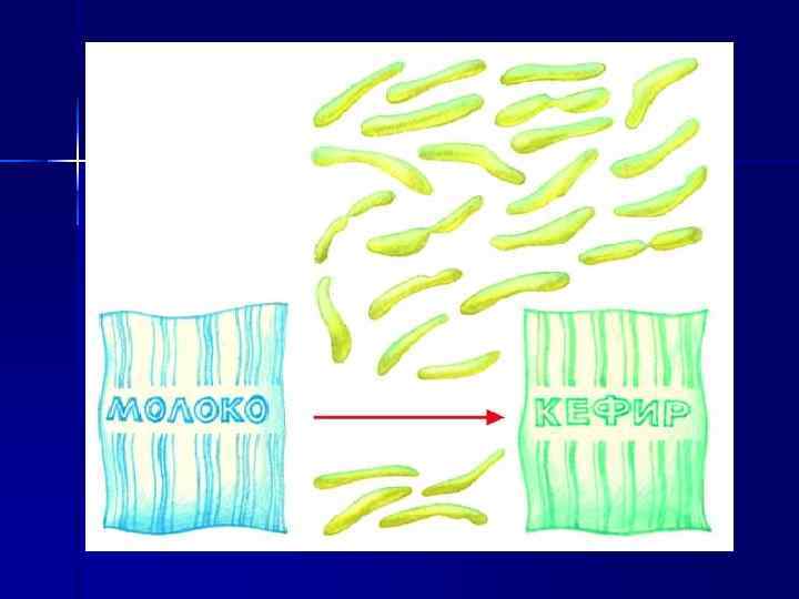 Быстрое размножение кисломолочных бактерий в молоке приводит к тому, что оно скисает за считанные