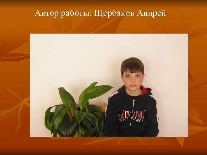 Автор работы: Щербаков Андрей 