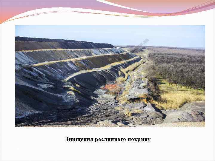 Знищення рослинного покриву 