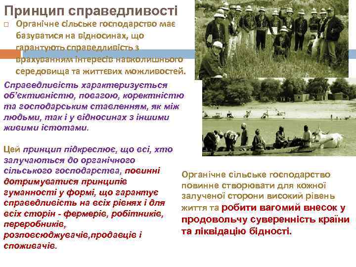 Принцип справедливості Органічне сільське господарство має базуватися на відносинах, що гарантують справедливість з врахуванням