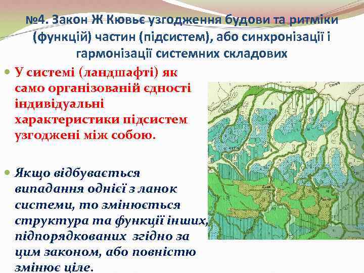   № 4. Закон Ж Кювьє узгодження будови та ритміки (функцій) частин (підсистем),