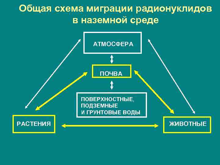 Схема миграция моей семьи