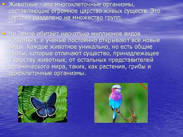  • Животные - это многоклеточные организмы,  составляющие огромное царство живых существ. Это