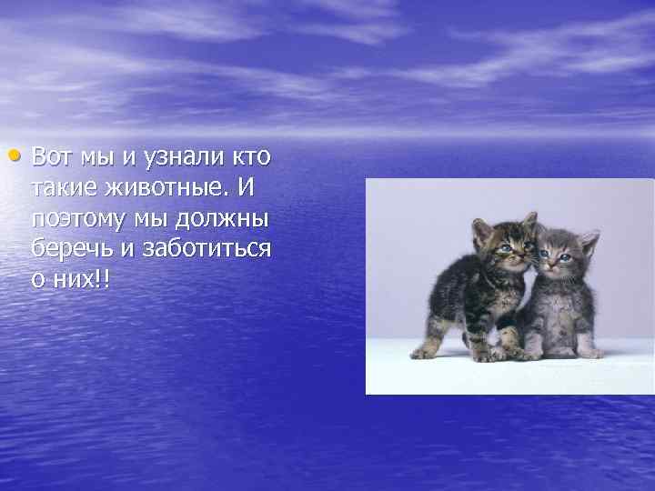  • Вот мы и узнали кто такие животные. И поэтому мы должны беречь