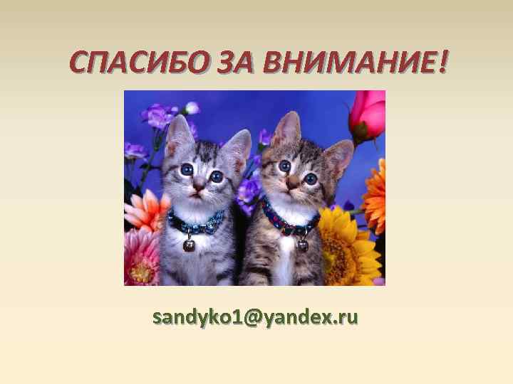 СПАСИБО ЗА ВНИМАНИЕ!   sandyko 1@yandex. ru 