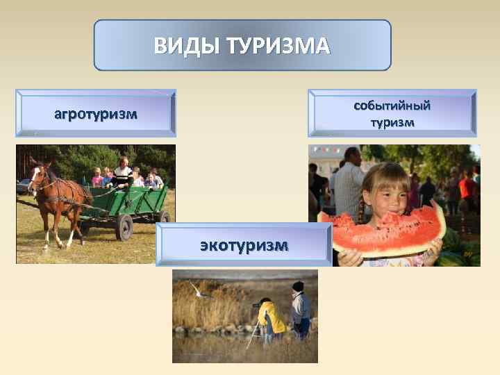    ВИДЫ ТУРИЗМА     событийный агротуризм   