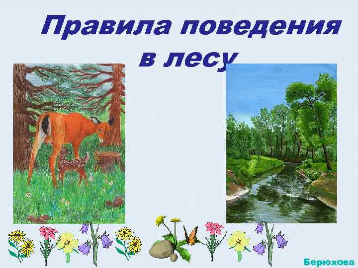 Правила поведения в лесу    Берюхова 